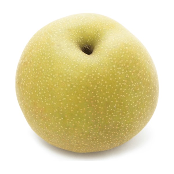 nashi pear